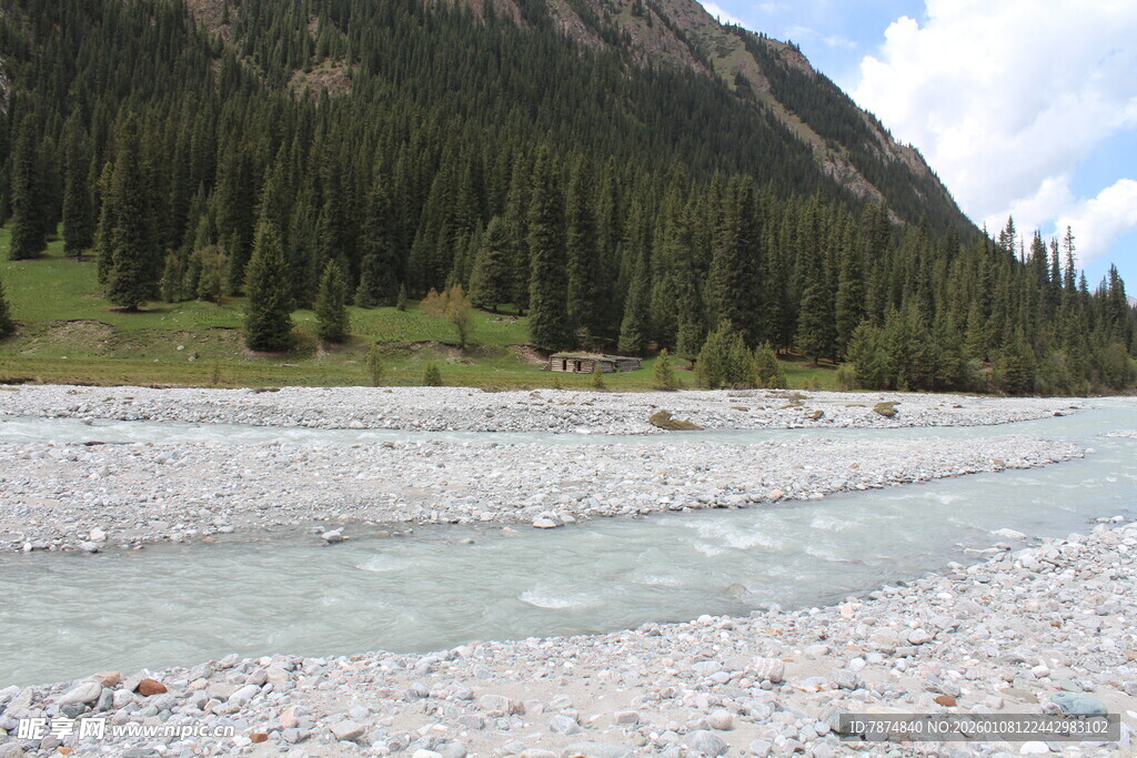 山间清澈河流与葱郁林木