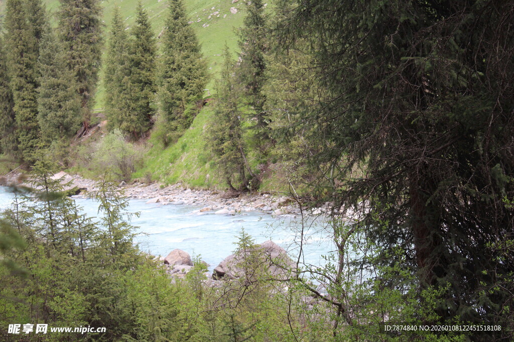 山林间的清澈河流