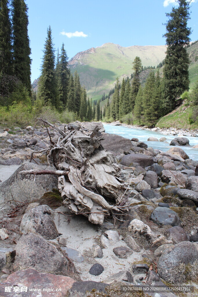 山间嶙峋溪流旁的自然景