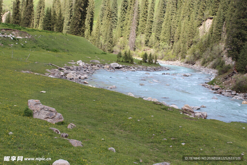 山间溪流旁的翠绿草地
