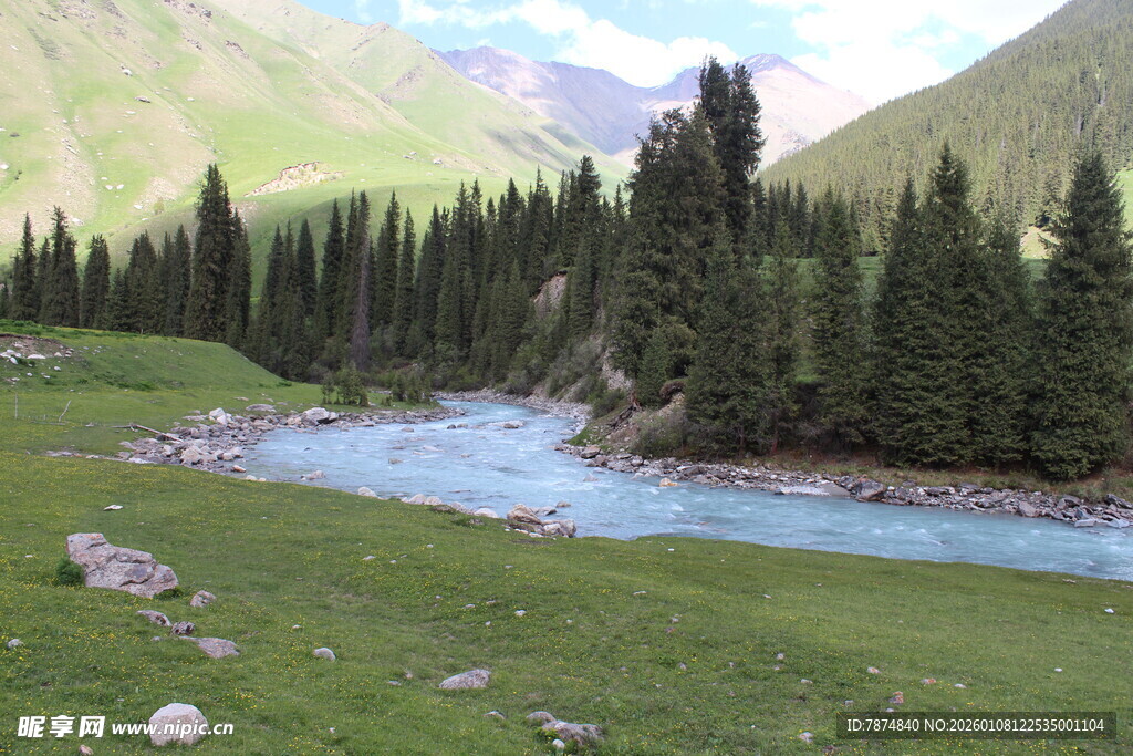 山间溪流旁的葱郁森林