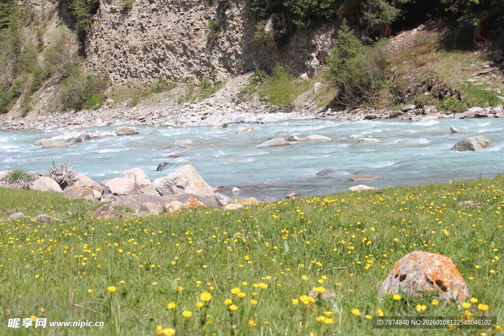 河畔草地黄花与石景