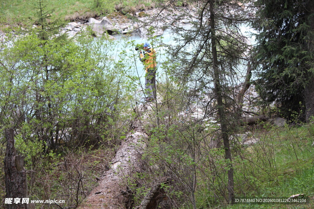 徒步者在林间原木小径穿行