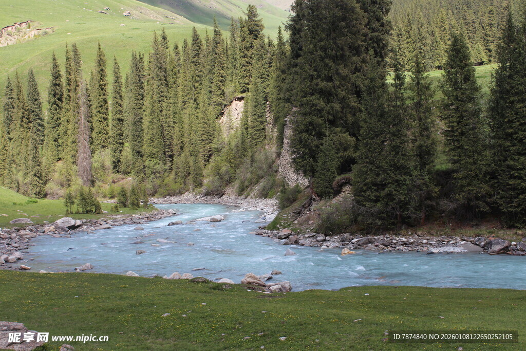 山间溪流旁的秀丽森林景色
