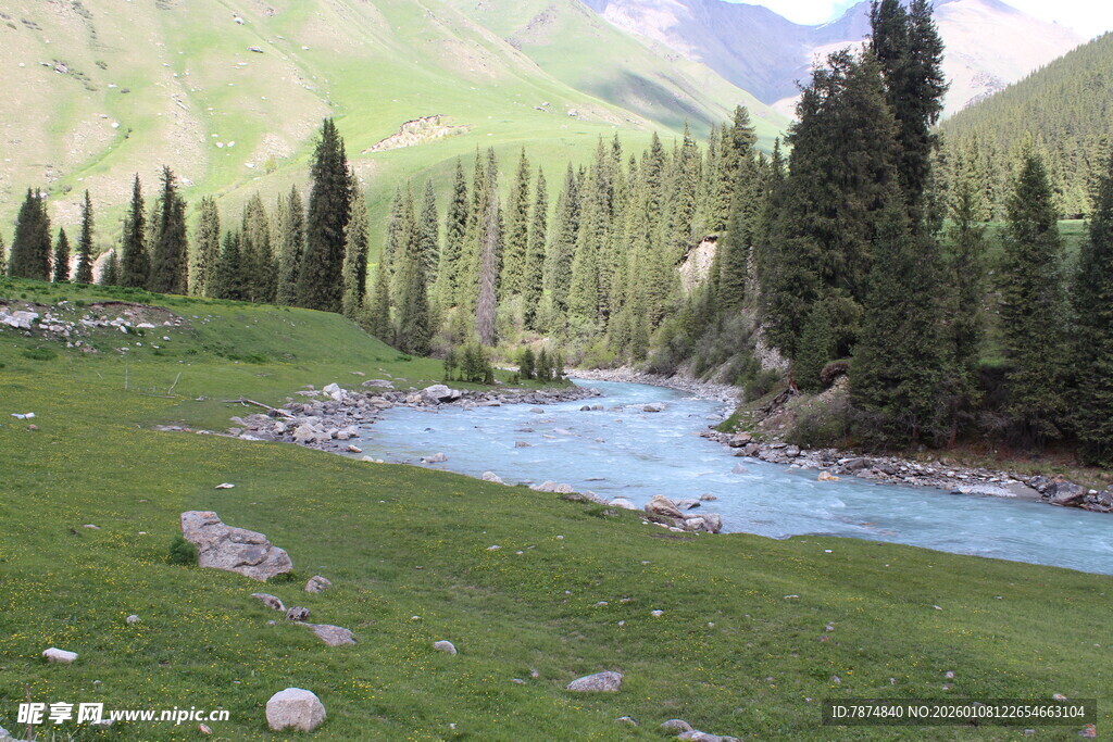 山间溪流旁的葱郁美景