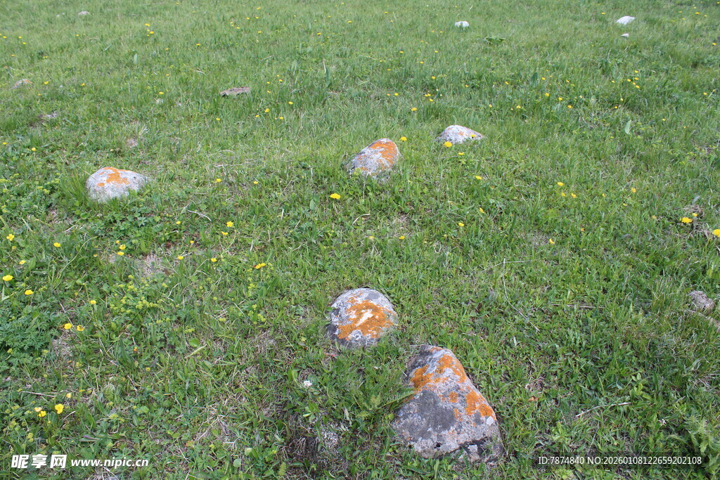 草地上的多彩石头