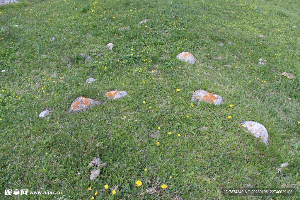 草地上散落的多彩石头