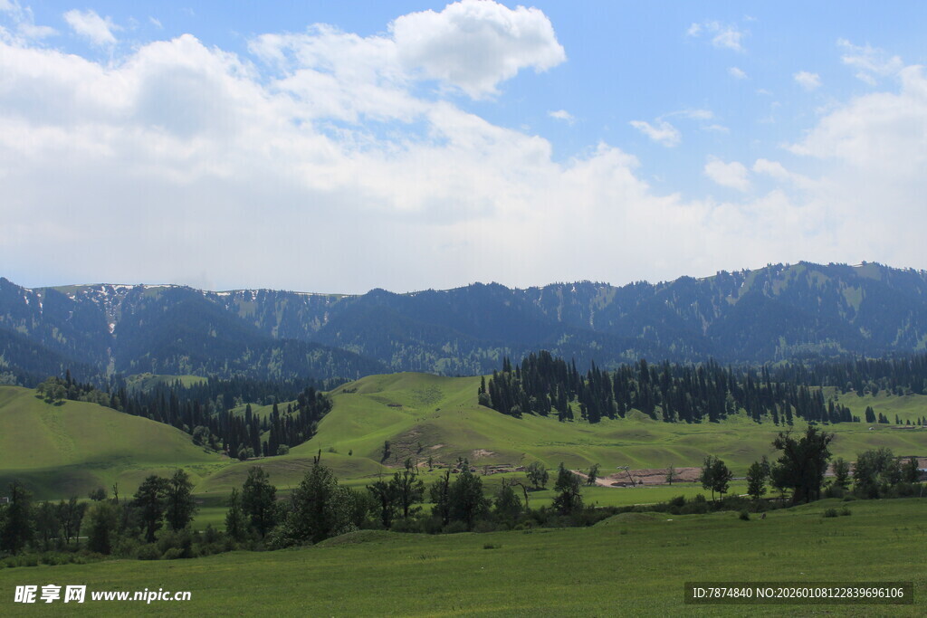 草原绿野山峦美景