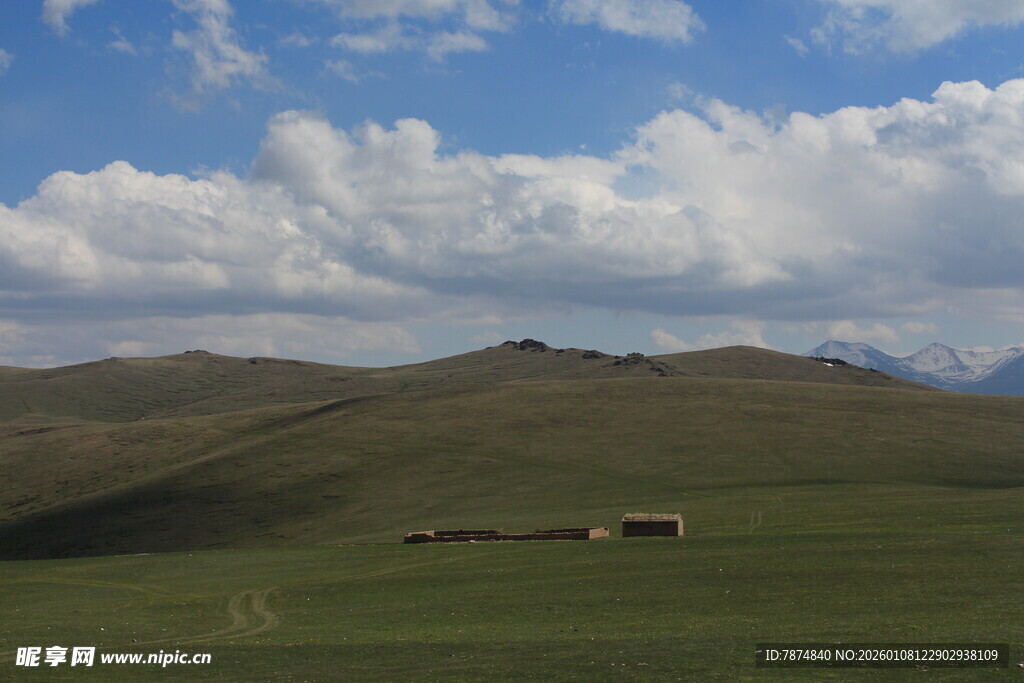 草原上的悠然牧场景象