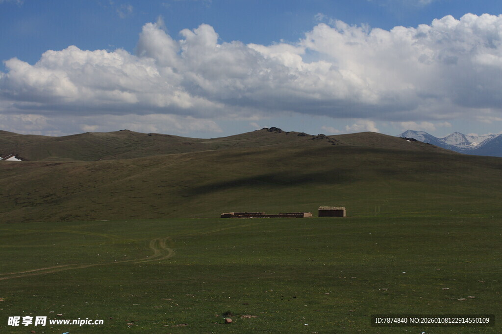 草原风光与远处的牲畜