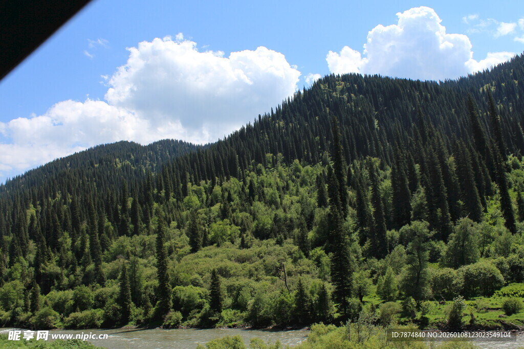 青山绿树间的秀丽山林景色