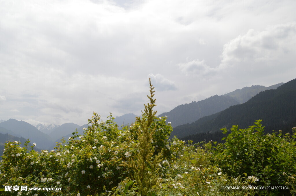 山间绿意与远处云雾景致