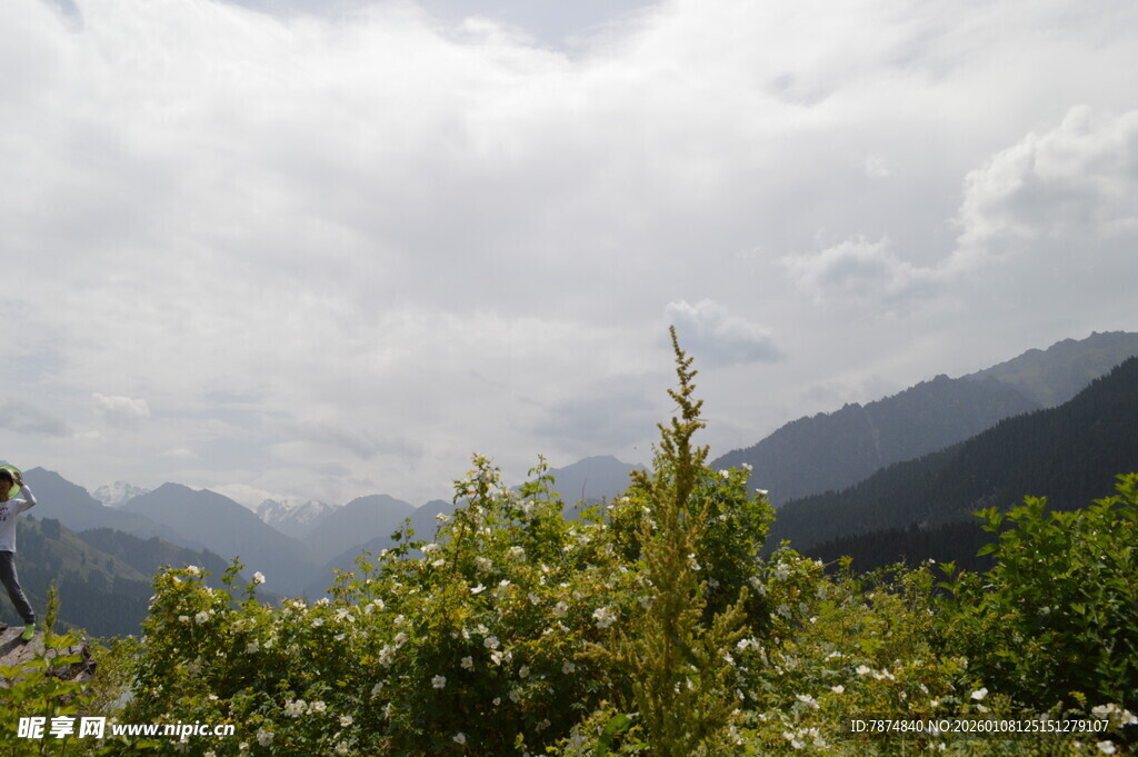 山间绿植与朦胧远山景色