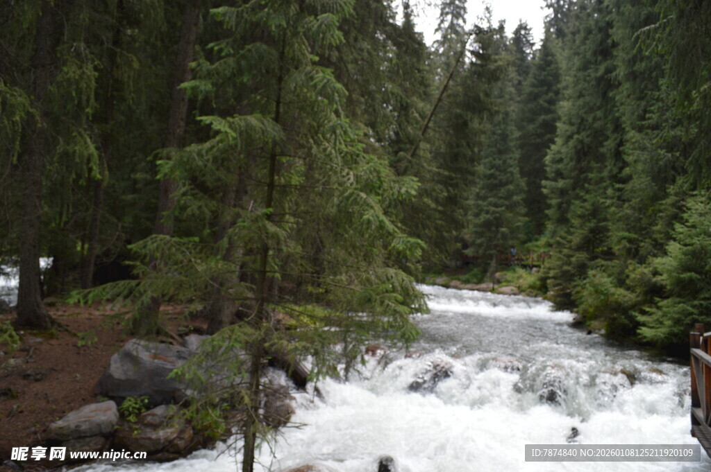 山间溪流穿林而过