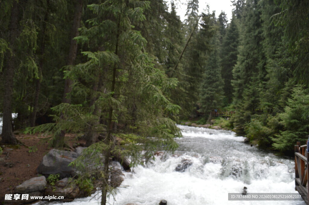 山间湍急溪流穿茂密森林