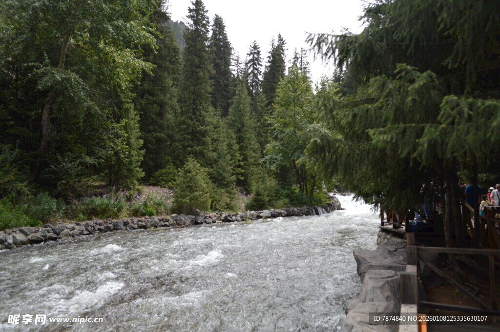 山间湍急溪流旁绿树成荫