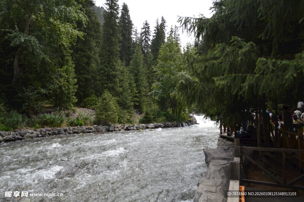 山间湍急溪流 绿树环绕