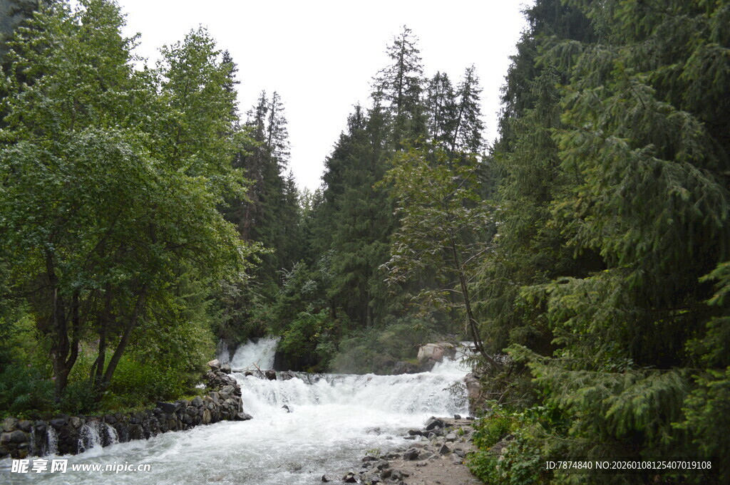 山间溪流穿林而过