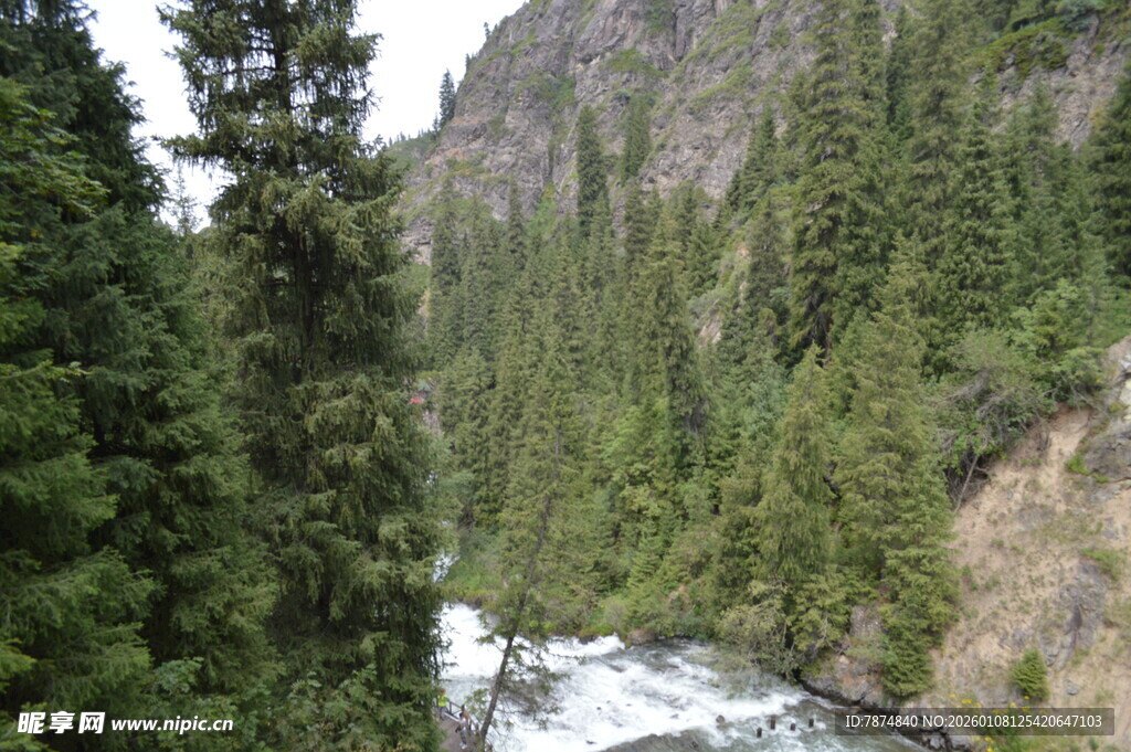 山间溪流穿林而过