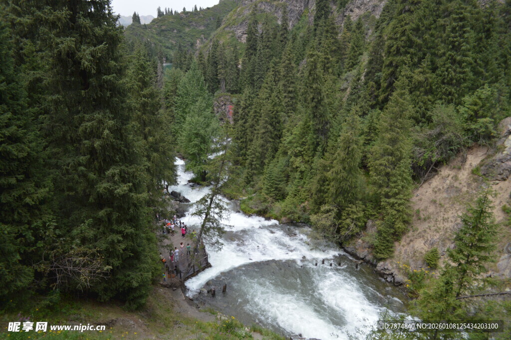 山间湍急溪流穿茂密森林