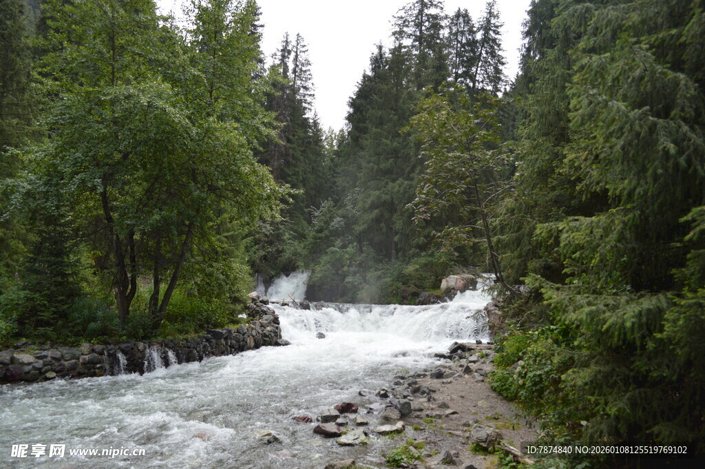 山间溪流穿林而过