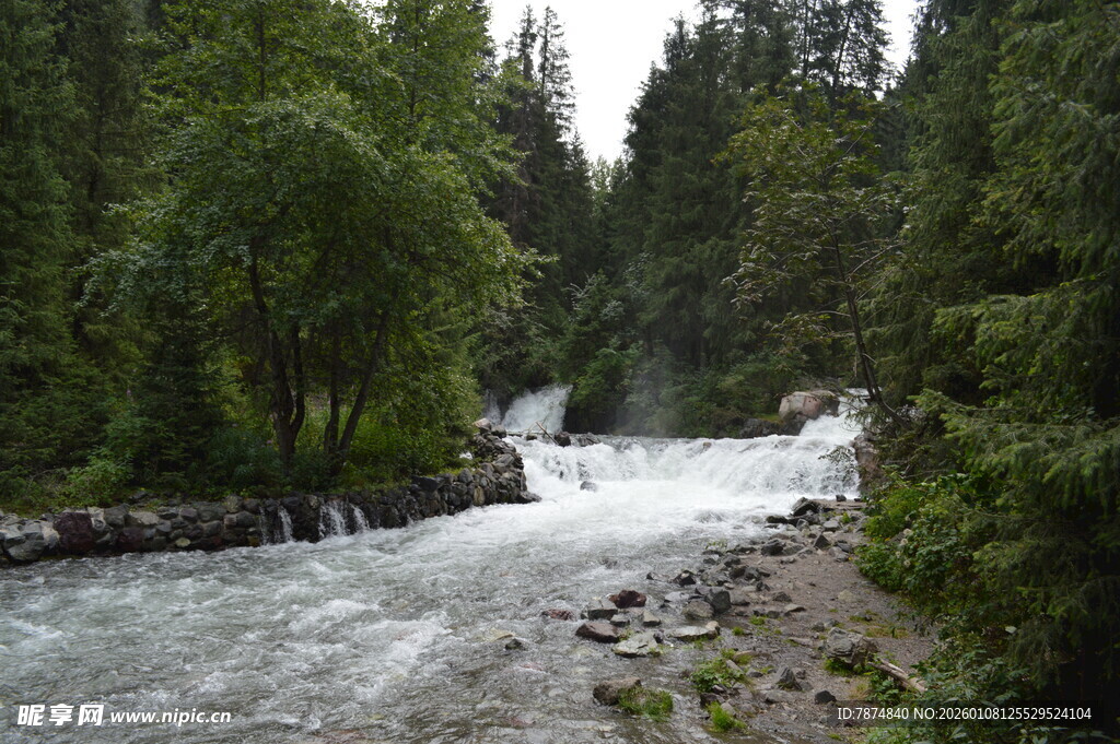 山间湍急溪流与茂密树林
