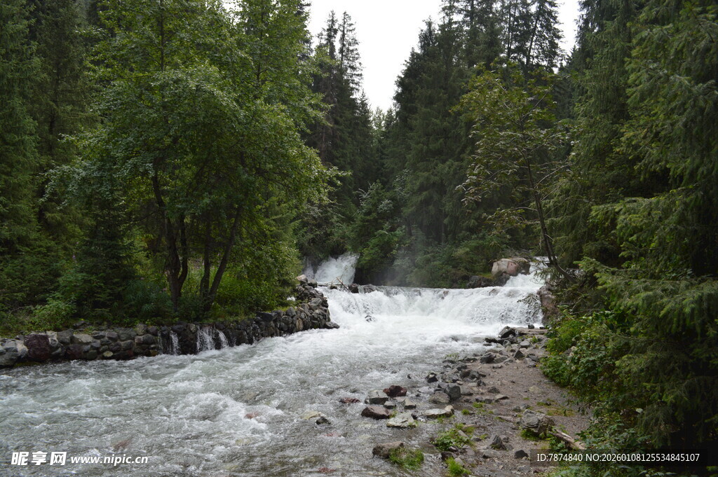 山间湍急溪流 绿树环绕
