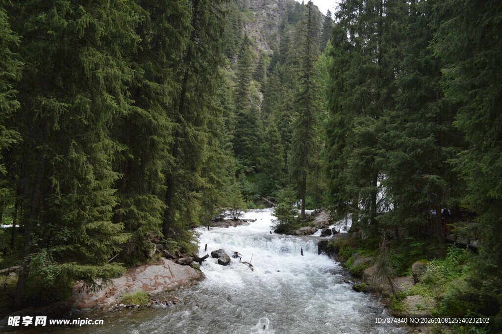 山间溪流穿林而过