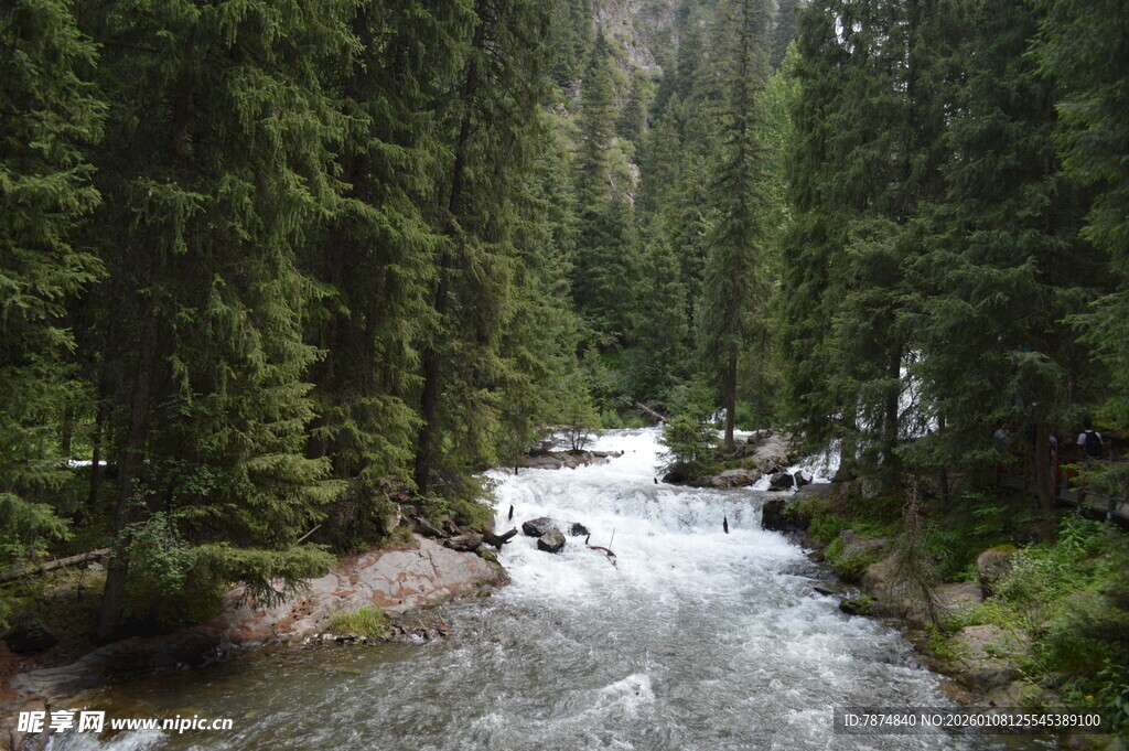 林间溪流 自然静谧之景