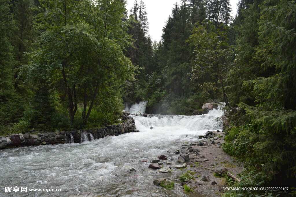 山间湍急溪流 绿意环绕