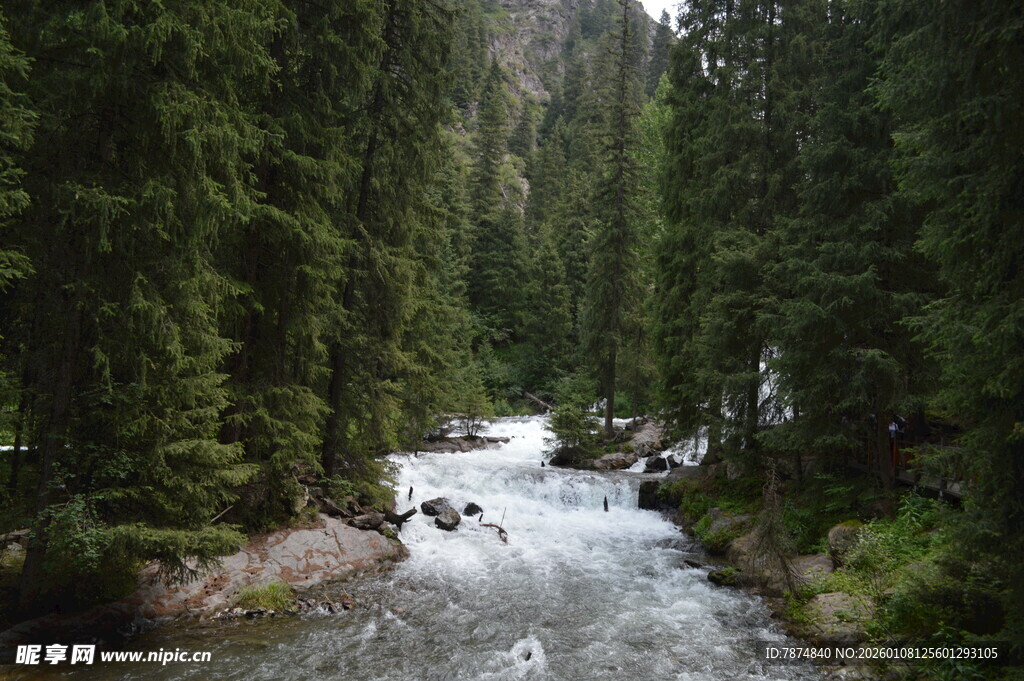 山间溪流穿林而过