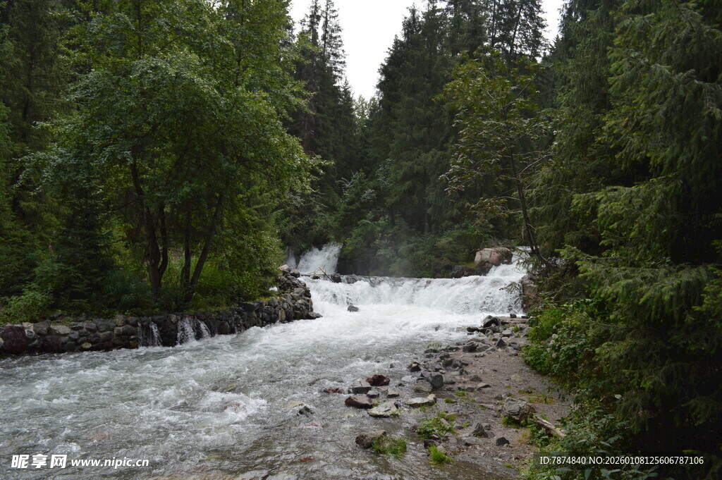 山间湍急溪流 绿意环绕