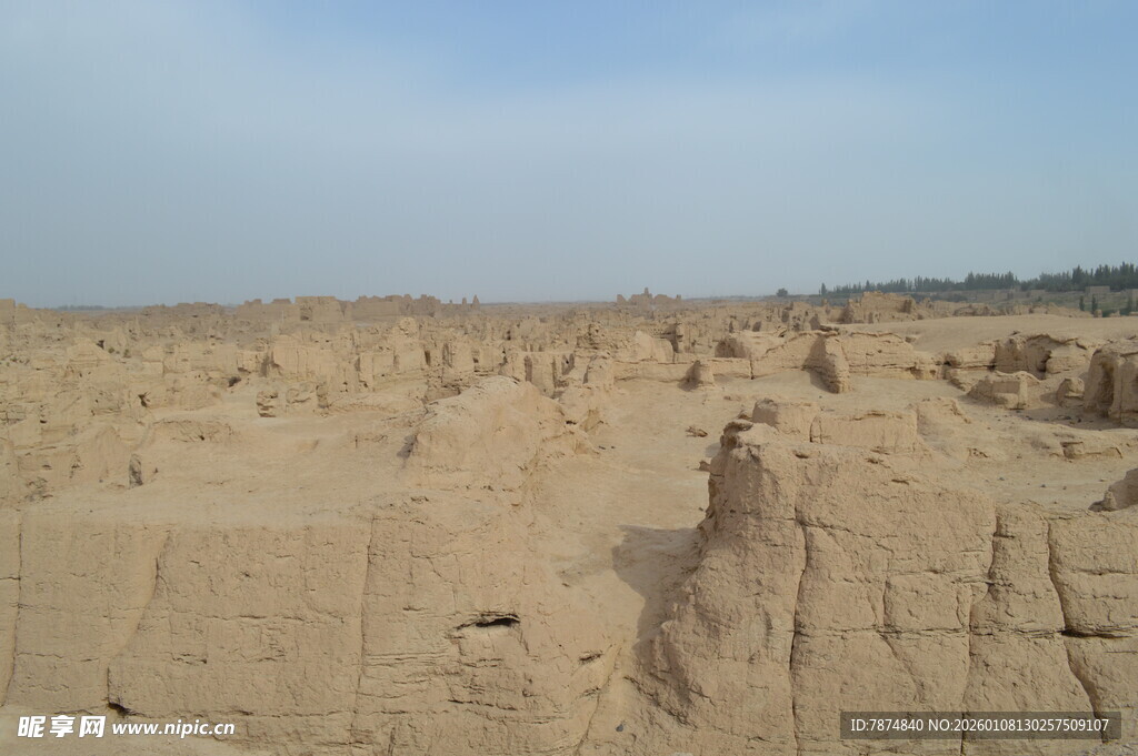 沙漠中的奇特土丘景观