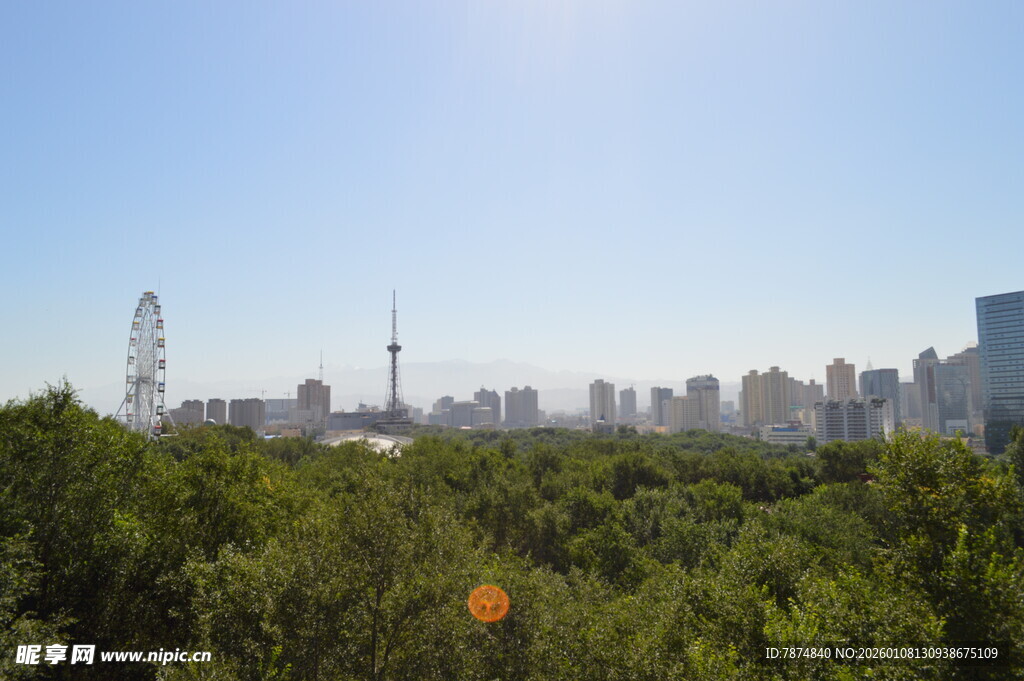 城市天际线与葱郁植被
