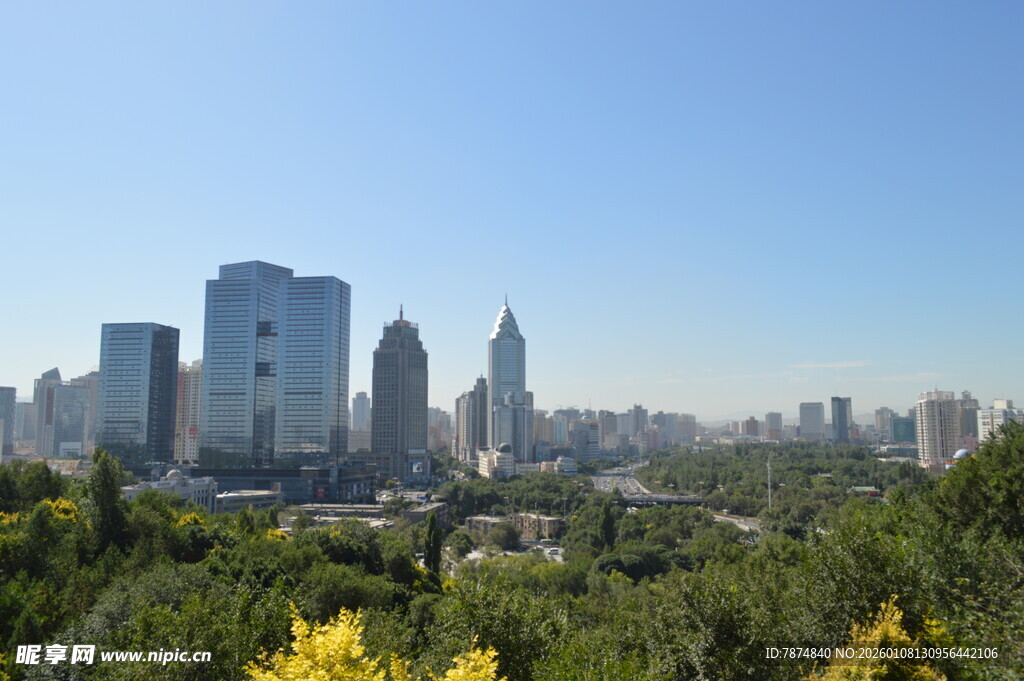 城市天际线与绿植景观