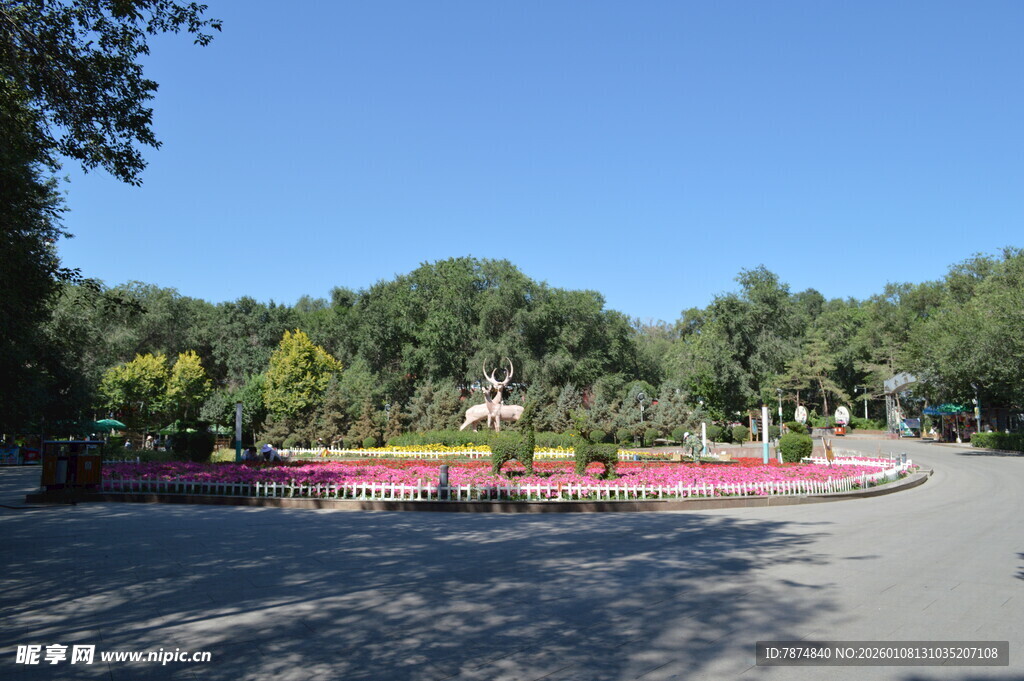 公园美丽花坛与开阔广场