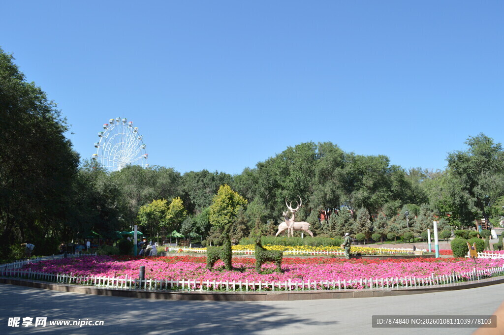 美丽公园花卉景观