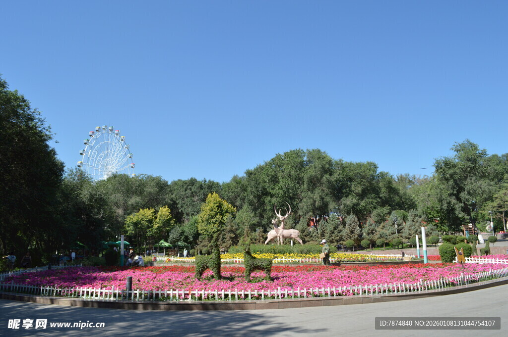 公园繁花绿树美景