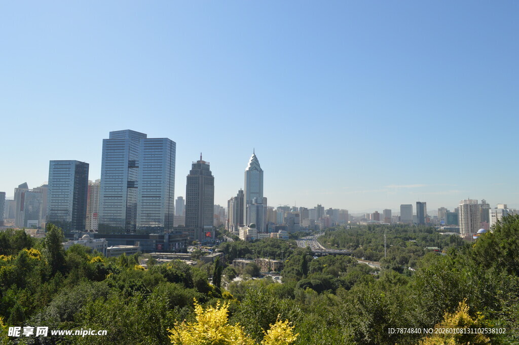 城市天际线与繁茂绿植