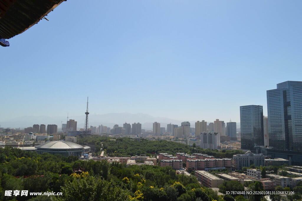 城市景观中的绿树与高楼