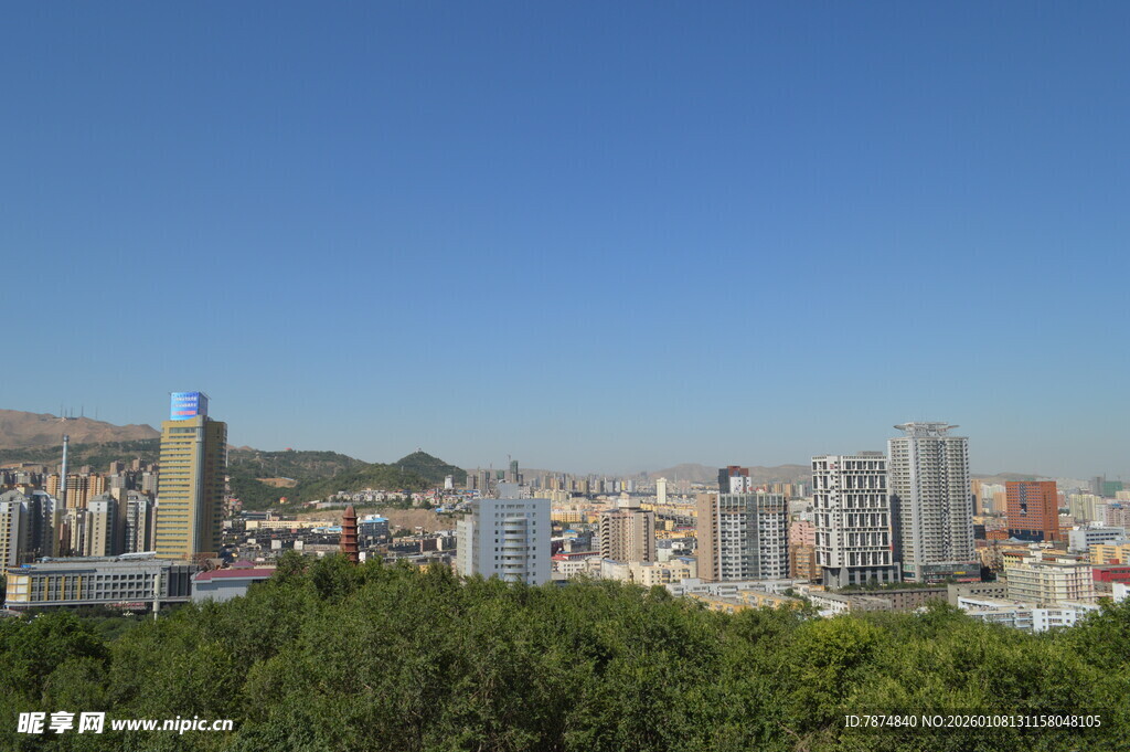 城市与绿树相映的天际线