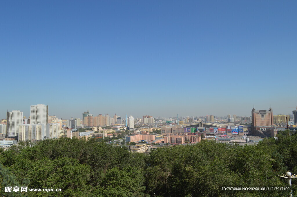 城市天际线与葱郁树林