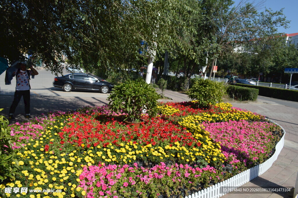 街头多彩花坛景观