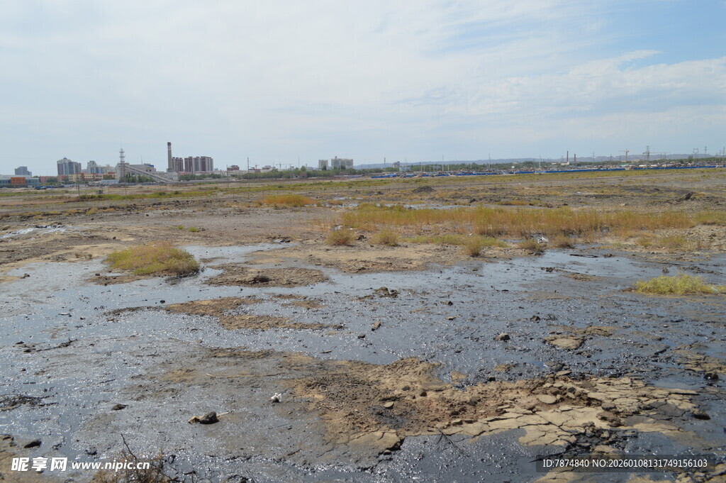 湿地景观 泥泞与植被并存