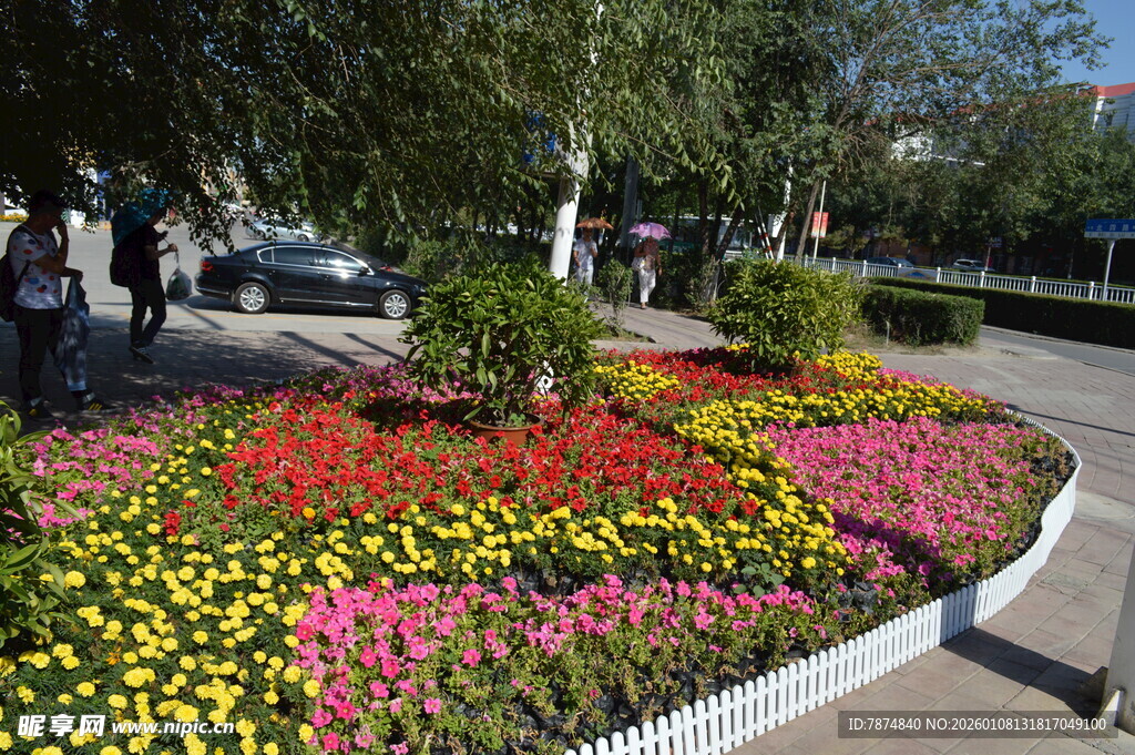 城市街边多彩花卉景观