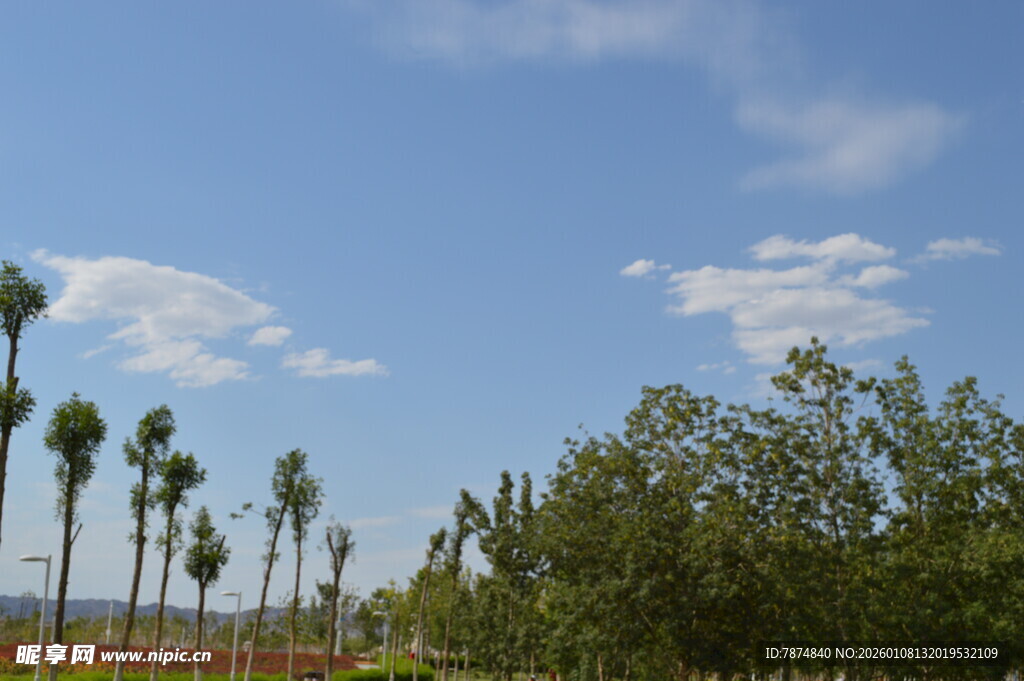 蓝天绿树风景美