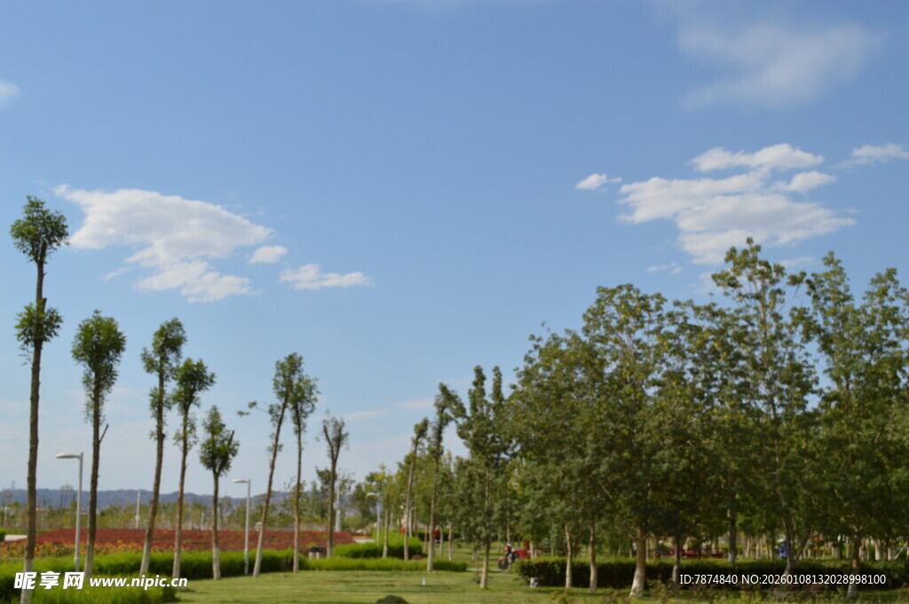 蓝天绿树间的美丽景致