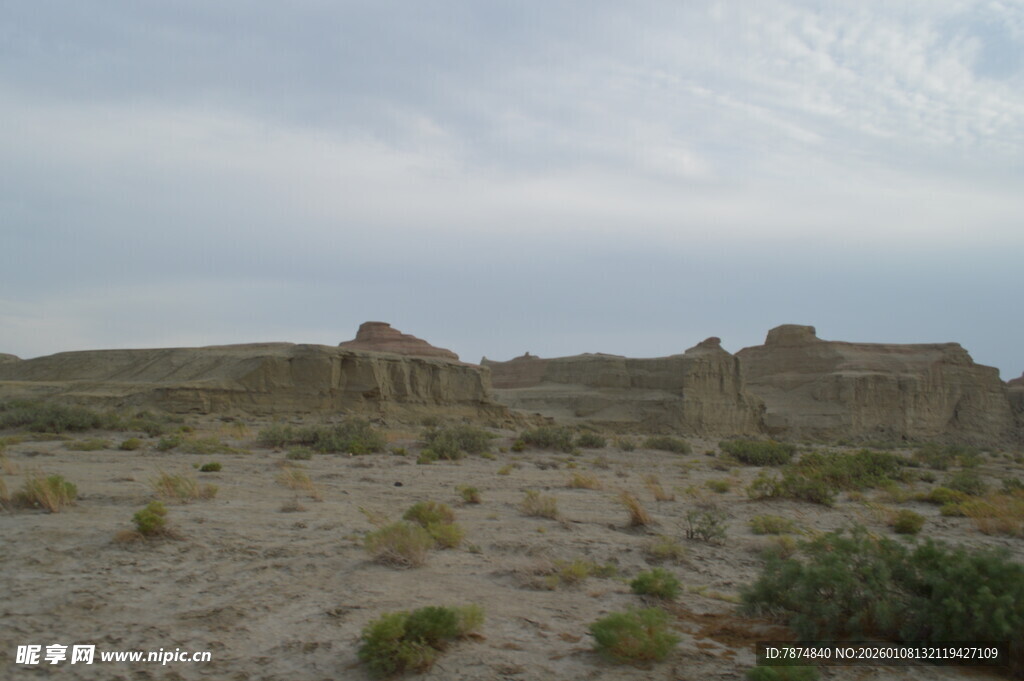 荒漠中的奇特土丘景观