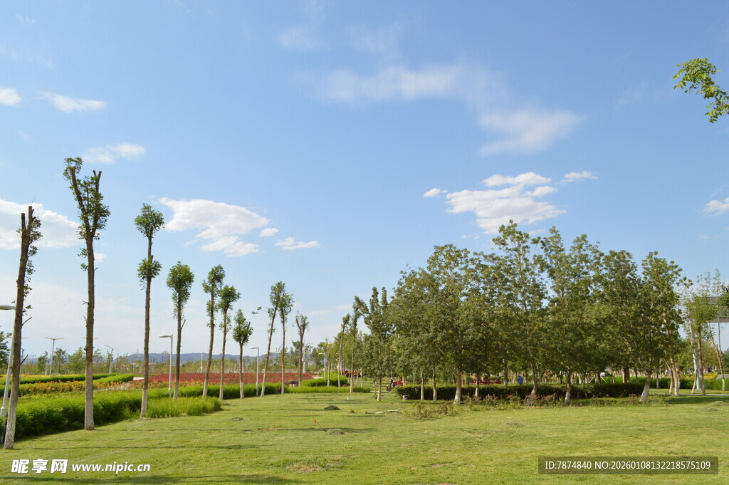 田园风光中的绿树蓝天