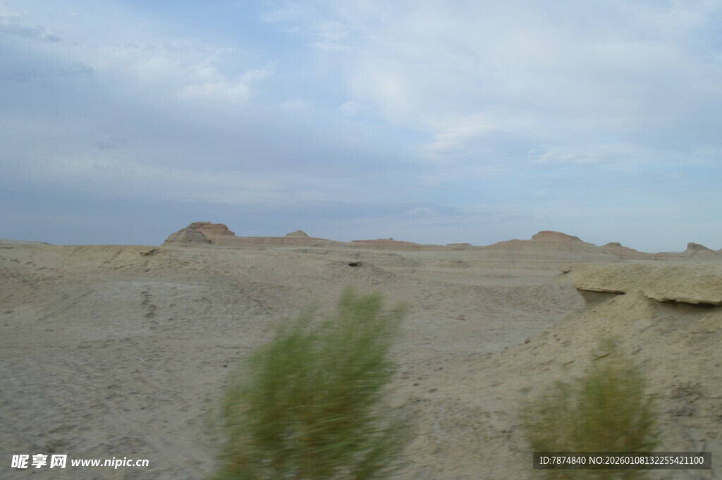 沙漠中的零星绿植景观